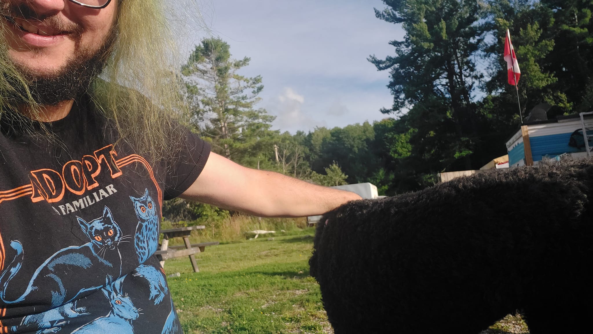 A man with green hair and a beard is outside with a black standard poodle out of frame, Photo 4